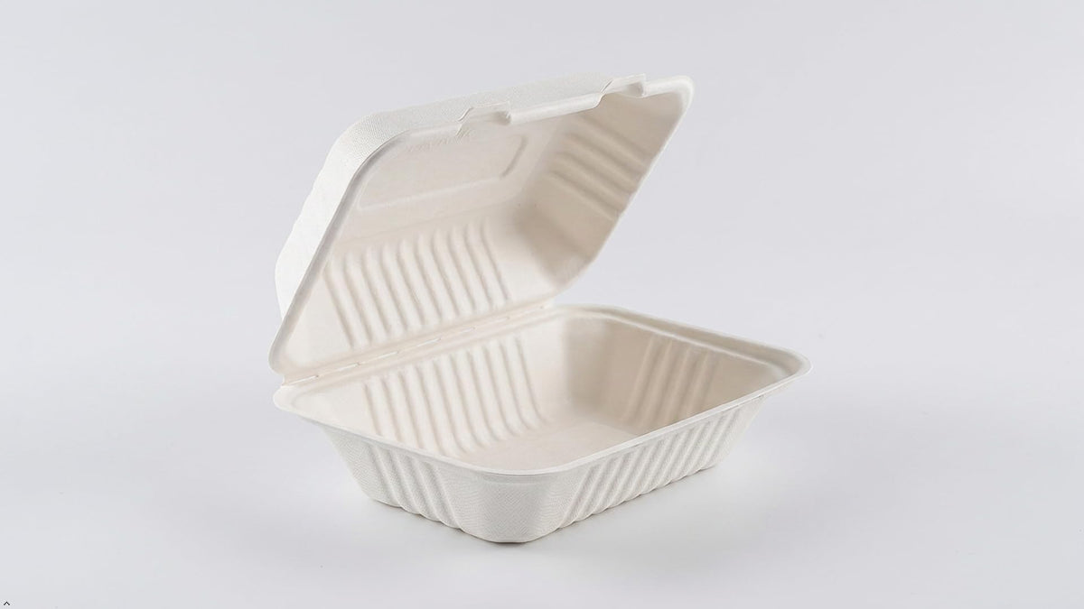 Wrap n Pac 1000ml 9x6 inch takeaway container with lid