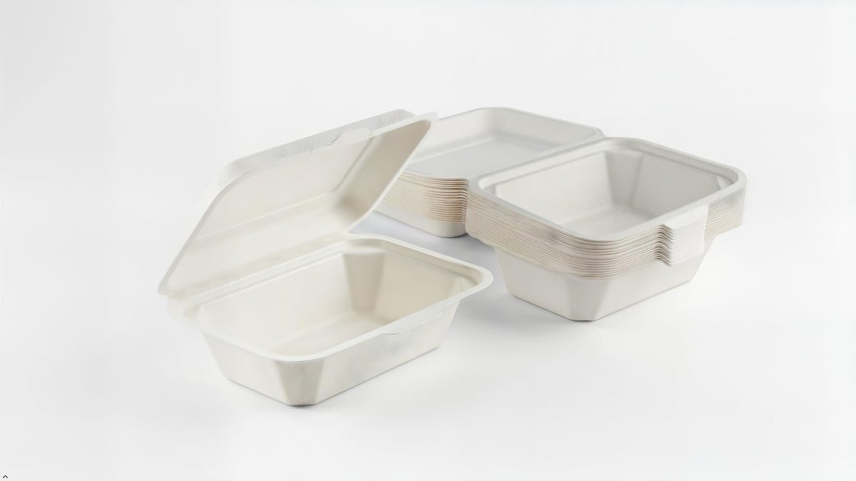 Wrap n Pac 7x5 inch 600ml compostable bagasse clamshell takeaway box with hinged lid