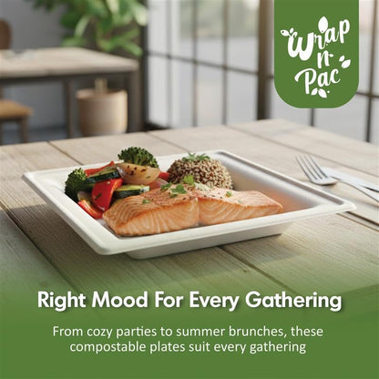 Compostable Bagasse Square Plates 8" – Pack of 500